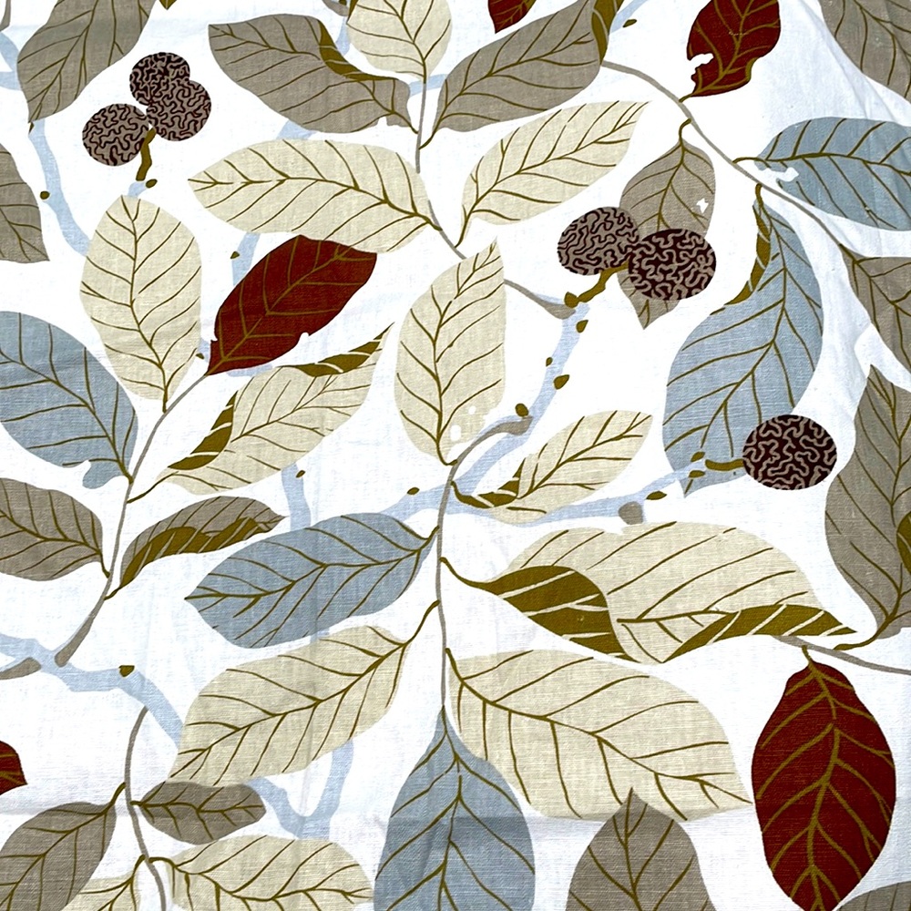 Statement Curtains